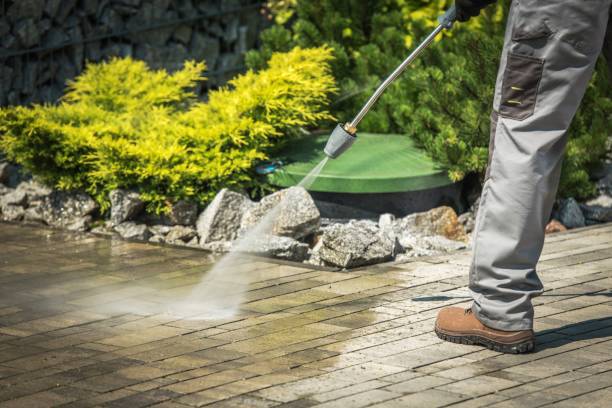 Best Gutter Cleaning  in Dahlone, GA