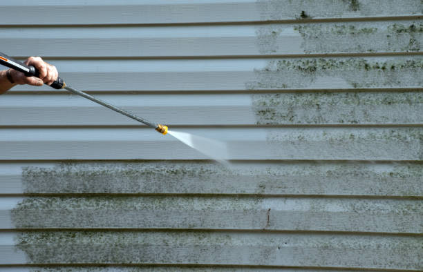 Reliable Dahlonega, GA Pressure Washing Solutions